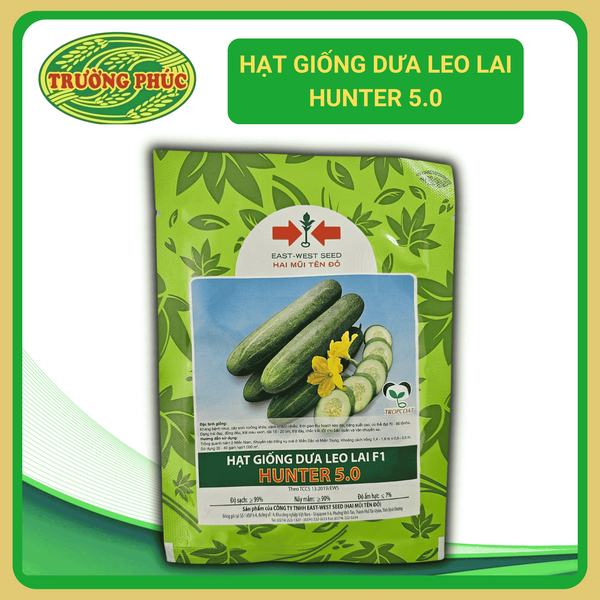  Hunter 5.0 - Dưa leo lai F1 