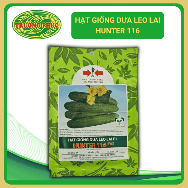  Hunter 116 - Dưa leo lai F1 