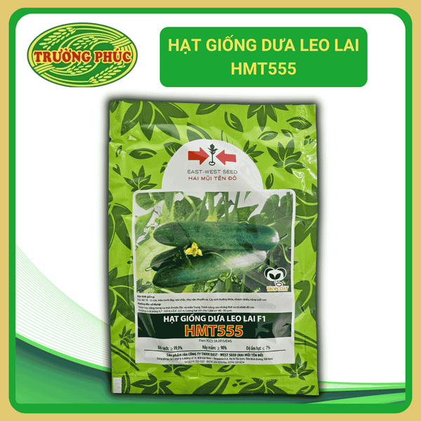  HMT555 - Dưa leo lai F1 