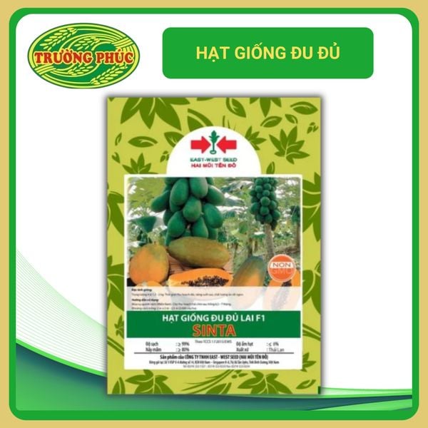  Đu đủ lùn lai F1 Sinta (20 hạt) 