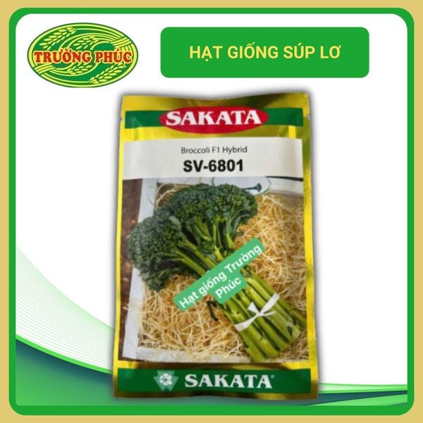  Súp lơ xanh SAKATA SV - 6801 (10g) 