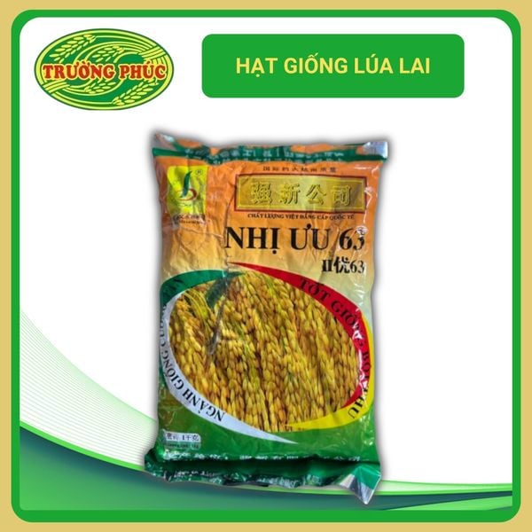  Nhị ưu 63 - Lúa lai (1kg) 