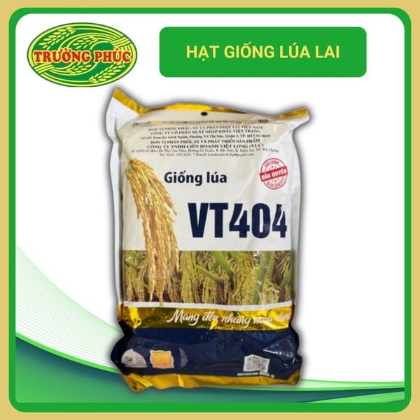  VT404 - Lúa lai (800g) 