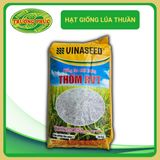  Thơm RVT VINASEED 