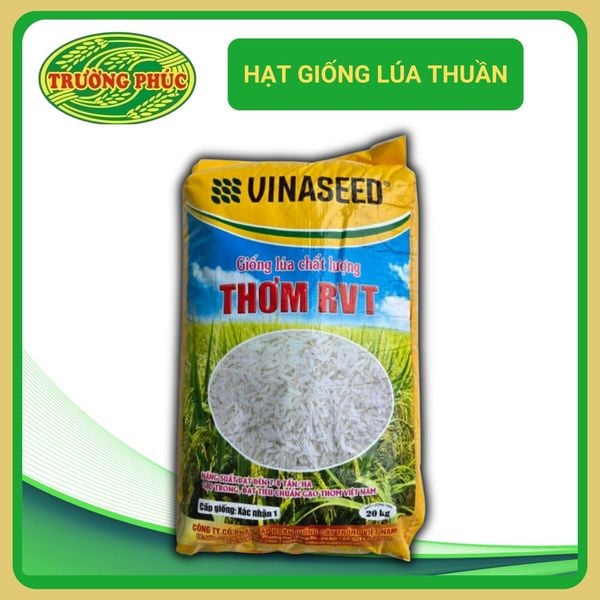  Thơm RVT VINASEED (20kg) 