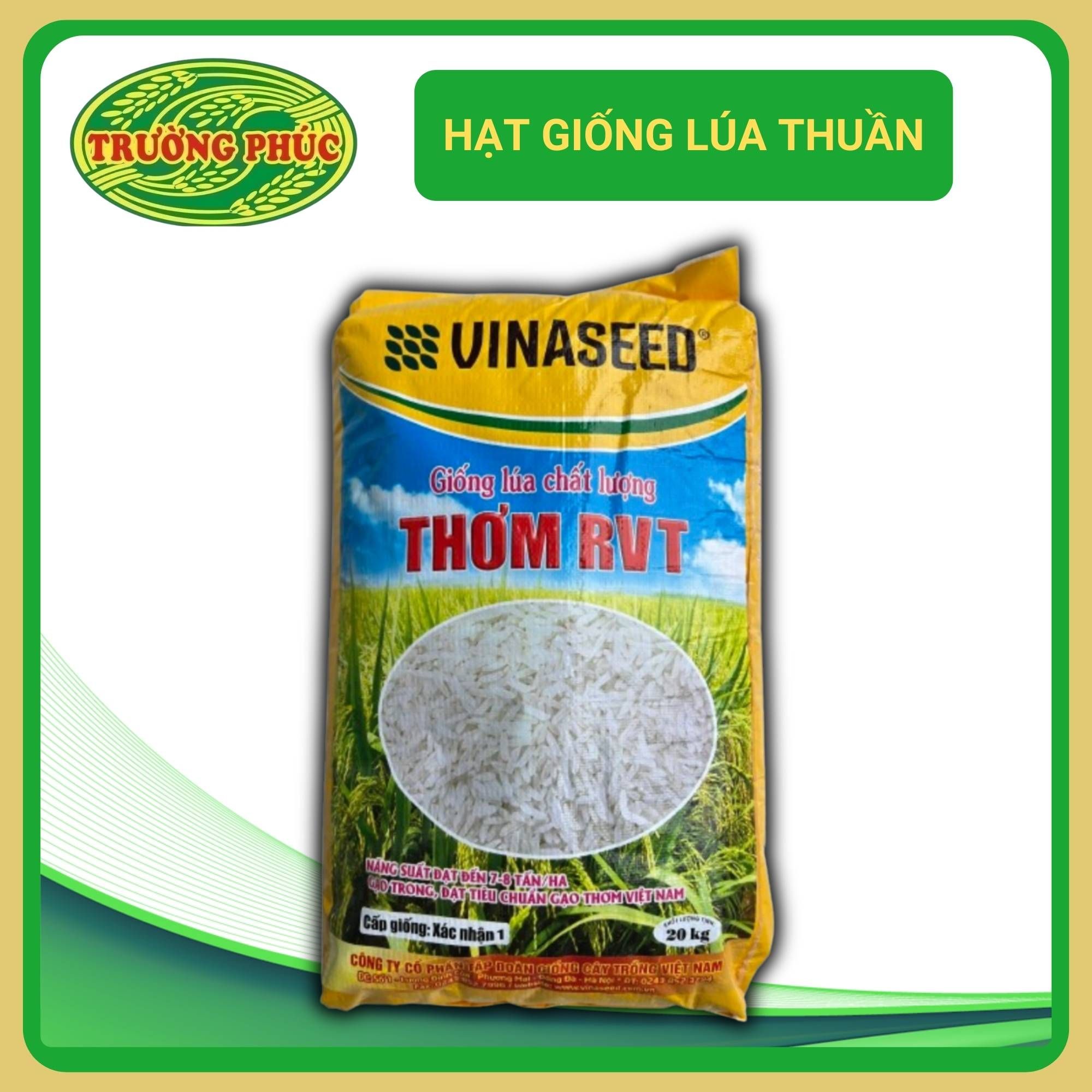  Thơm RVT VINASEED 