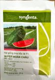 Hoàn Châu - Dưa hấu lai F1 (20g) 