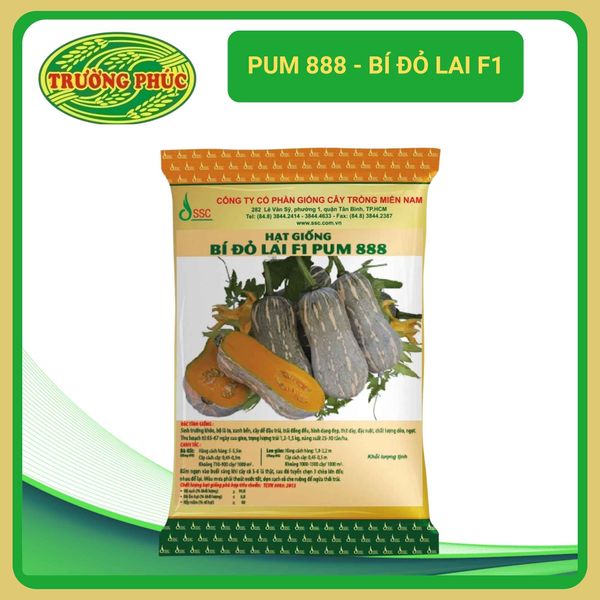  PUM 888 - Bí đỏ lai F1 