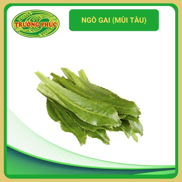  Ngò gai (mùi tàu) (5g) 