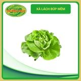  Xà lách búp mềm (5g) 
