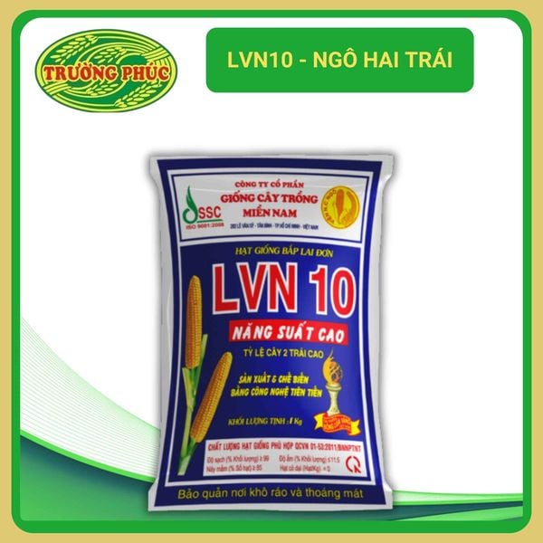  LVN10 - Ngô ( bắp) hai trái (1 kg) 