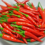  Ớt chỉ thiên F1 AGRITHAI 666 (5gr) 