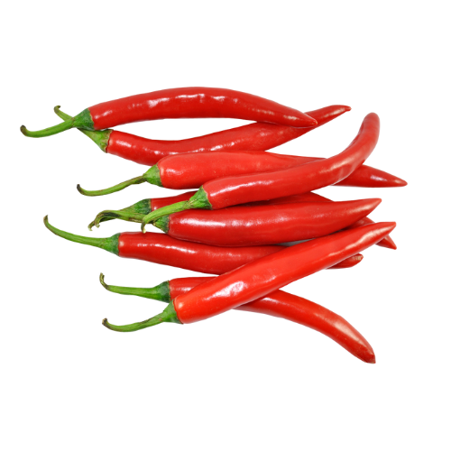  Ớt chỉ thiên lai F1 (0.5g) 