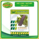  Hắc Long - Ngô ( bắp) nếp tím lai F1 (50g) 