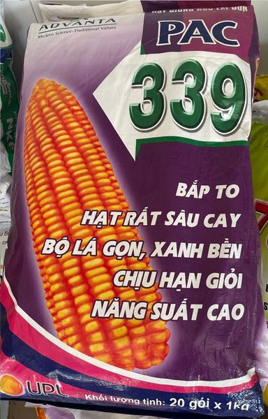  PAC 339 - Ngô (Bắp ) lai F1 (1 kg) 
