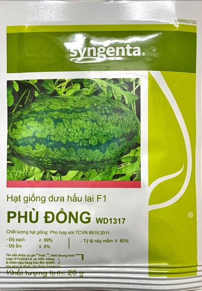  Phù Đổng - Dưa hấu lai F1 (20g) 