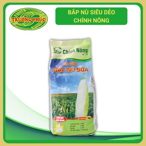 Ngô (bắp) nếp trắng