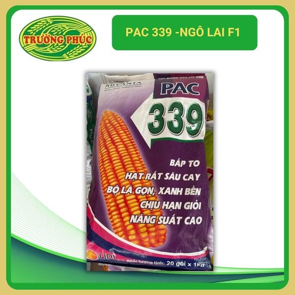  PAC 339 - Ngô (Bắp ) lai F1 (1 kg) 