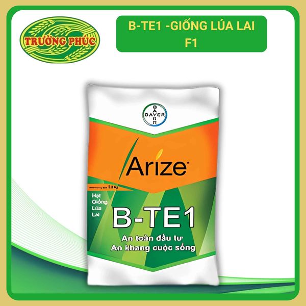  B-TE1 - Giống lúa lai F1 (1 kg) 