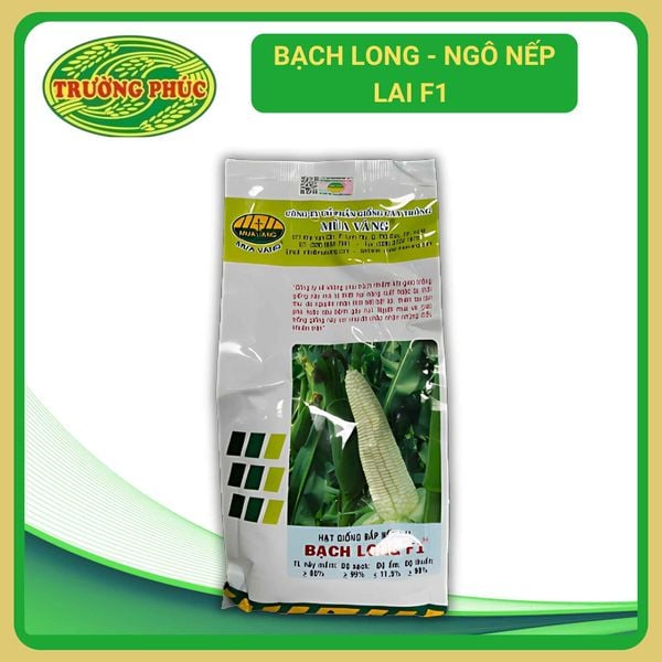  Bạch Long - Ngô ( bắp ) nếp lai F1 (500g) 