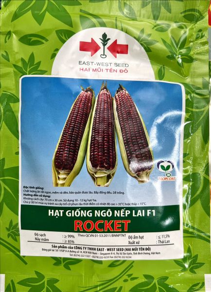  Rocket - Ngô ( Bắp ) nếp tím lai F1 (50g) 