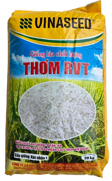  Thơm RVT VINASEED (20kg) 