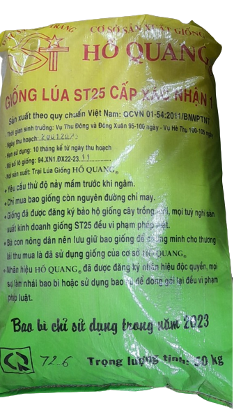 Giống lúa ST25