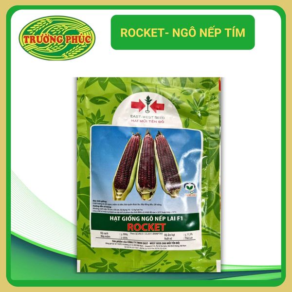 Rocket - Ngô ( Bắp ) nếp tím lai F1 (50g) 