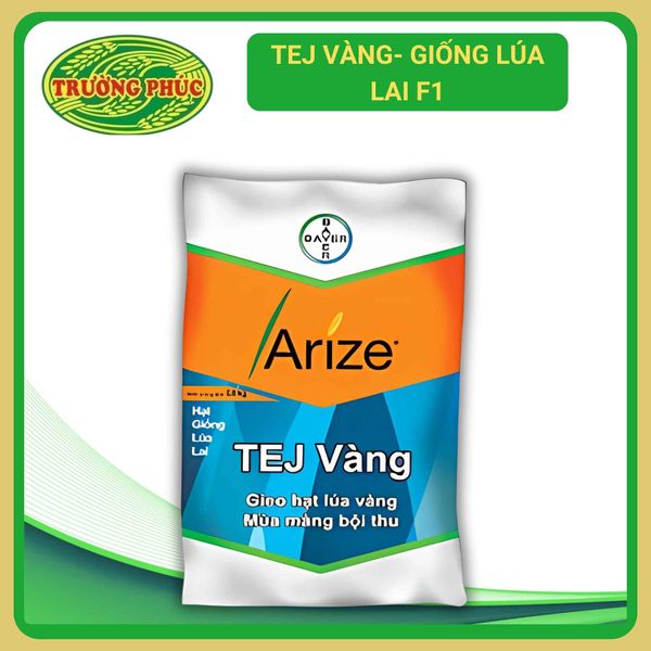  TEJ Vàng - Giống lúa lai F1 (1 kg) 