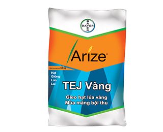  TEJ Vàng - Giống lúa lai F1 (1 kg) 