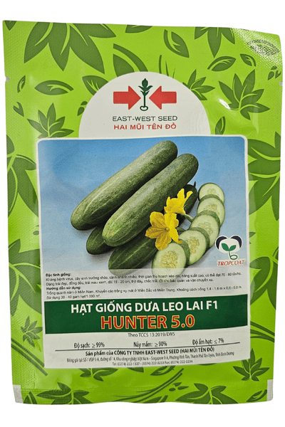 Hunter 5.0 - Dưa leo lai F1 