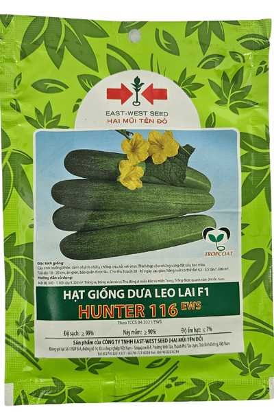  Hunter 116 - Dưa leo lai F1 