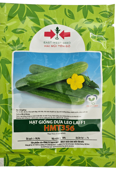  HMT356 - Dưa leo lai F1 
