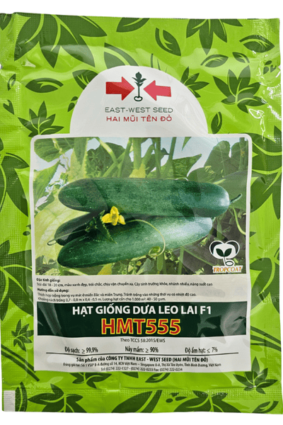  HMT555 - Dưa leo lai F1 
