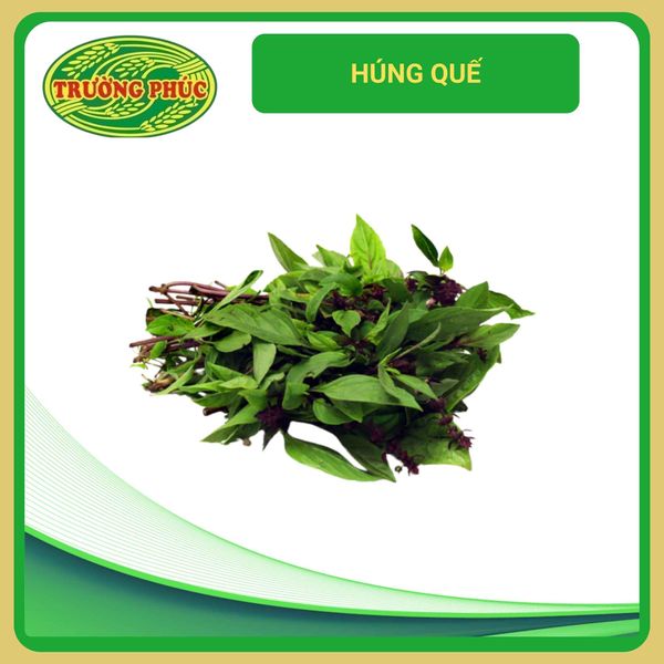  Húng quế (1g) 
