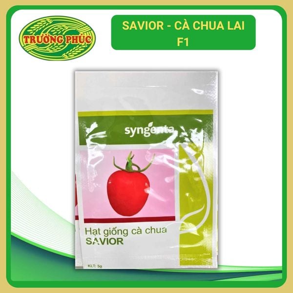  Savior - Cà chua lai F1 (5g) 