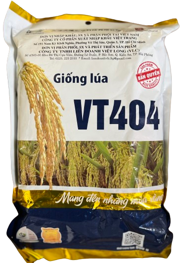  VT404 - Lúa lai (800g) 