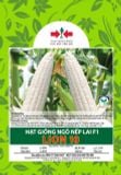  Lion 10 - Ngô ( bắp) nếp lai F1 