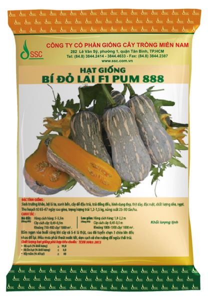  PUM 888 - Bí đỏ lai F1 