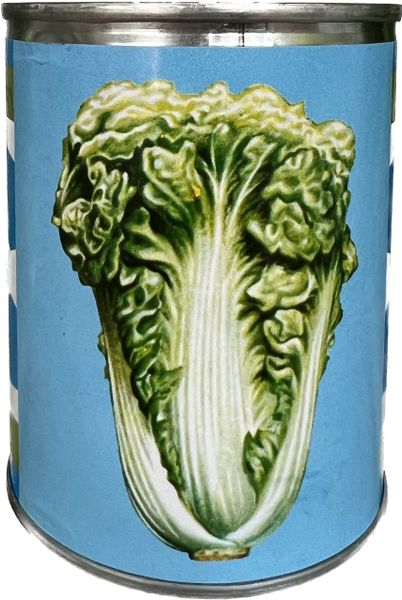  Cải bẹ dún Thái 