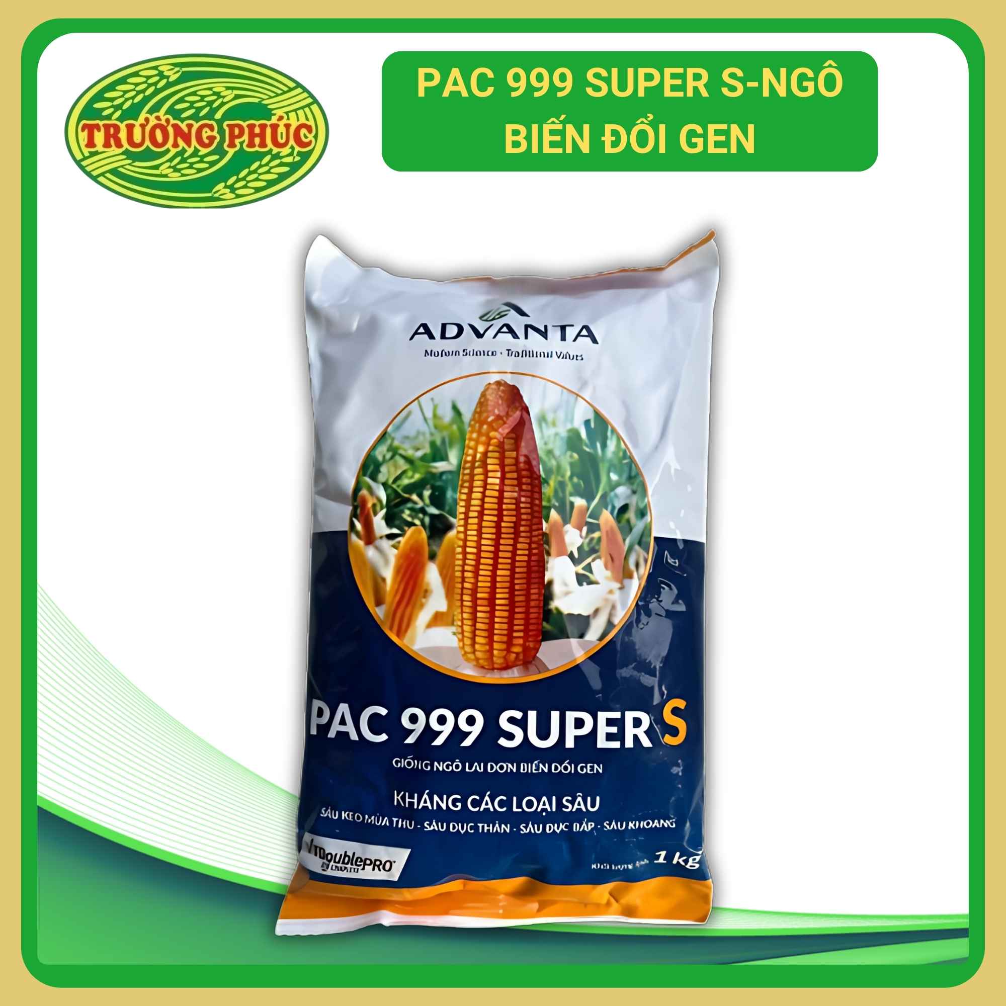 Giống ngô biến đổi gen PAC 999 Super S – Hạt giống Trường Phúc
