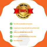  Mật Ong Ngâm Hoa Đu Đủ 