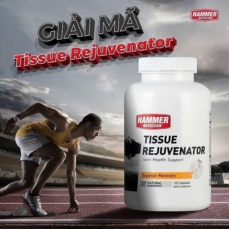 Viên phục hồi giảm đau nhức xương khớp Hammer Tissue Rejuvenator