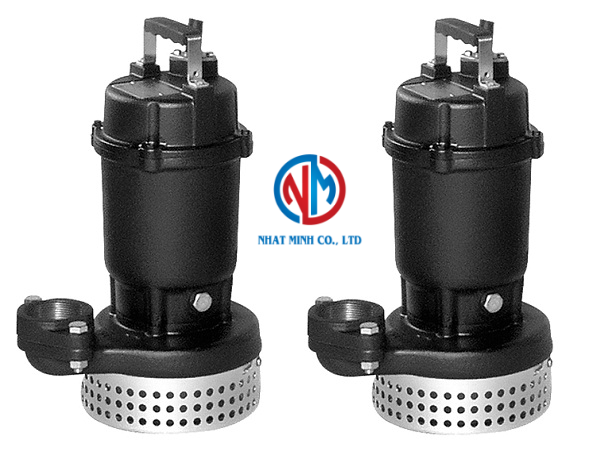 Bơm chìm cột áp cao Ebara ( vật liệu Gang) - Series DS