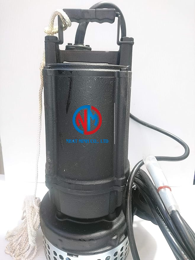 Bơm chìm cột áp cao Ebara ( vật liệu Gang) - Series DS