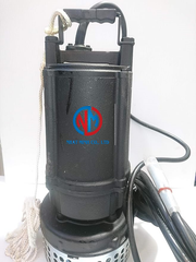 Bơm chìm cột áp cao Ebara ( vật liệu Gang) - Series DS