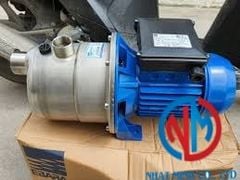 Máy bơm tự mồi Ebara JEXM 100( Inox 304)