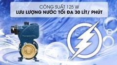 Máy bơm nước chân không Panasonic GP 129JXK (125w)