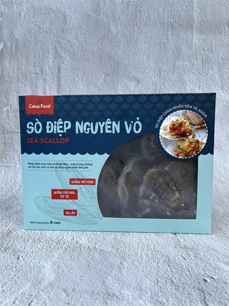  Sò Điệp Nguyên Vỏ 1Kg 