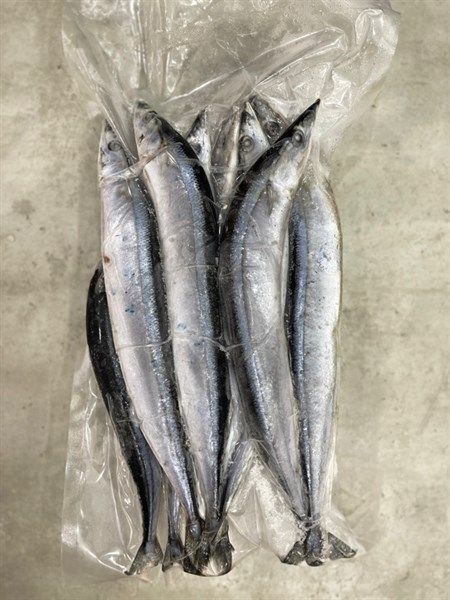  Cá Thu Đao Sanma Size 7 - 9 Con 1Kg 